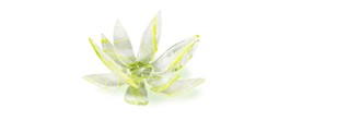 Murano Atelier Glass Candle Holder Lotus Freeform
